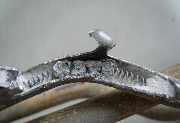 解剖加热管图片