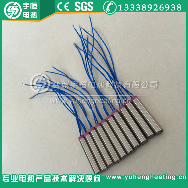 带瓷头四氟引线进口内出线加热管