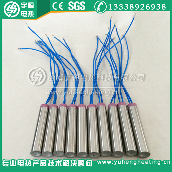 带瓷头四氟引线进口内出线加热管