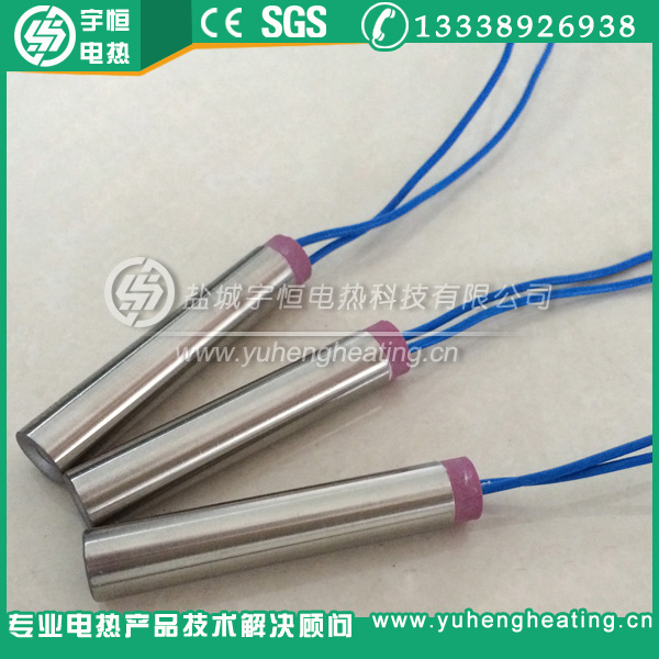 带瓷头四氟引线进口内出线加热管