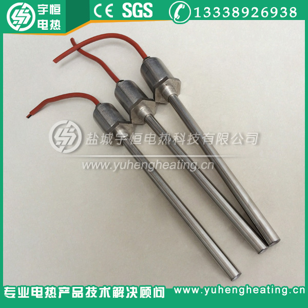 带R1/2''管锥螺纹加热管