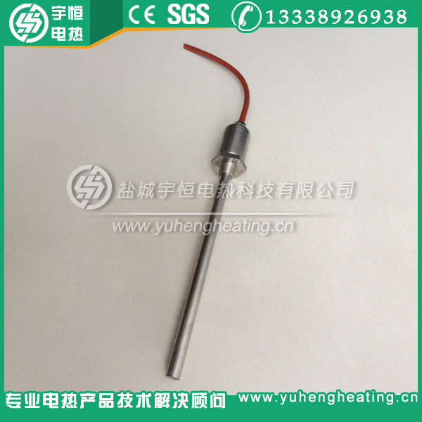 带R1/2''管锥螺纹加热管