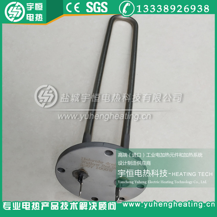 美国进口watlow法兰加热管
